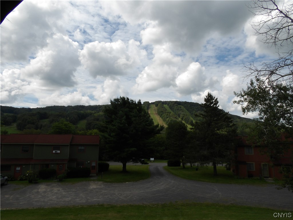 2027 Arcadia Drive Virgil, NY 13045 - Photo 29 of 29 Beautiful View