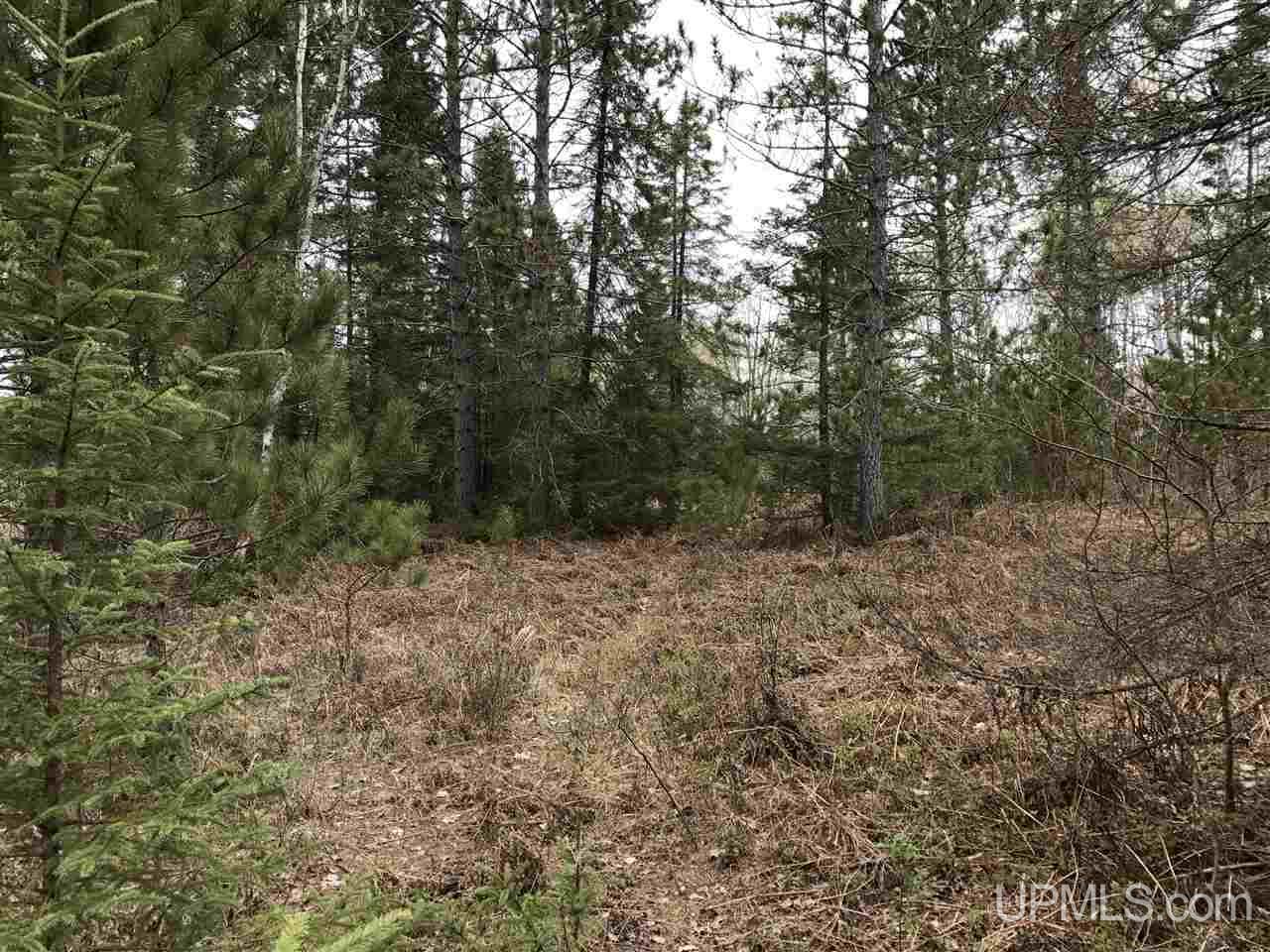 40-ac Kelso Road Crystal Falls, MI 49920 - Photo 3 of 21