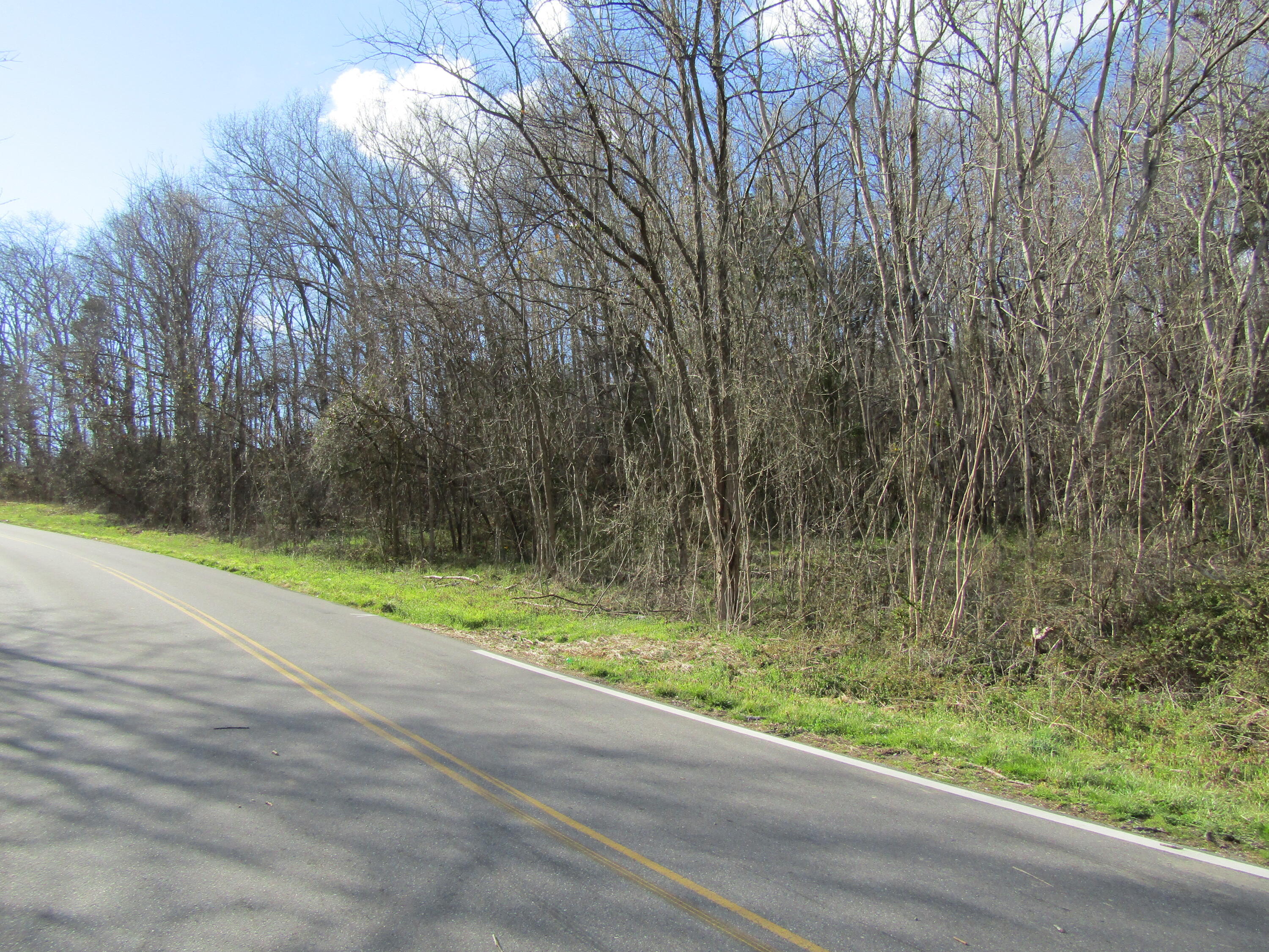 Lot # Bright Hope Road, Unit 12 Greeneville, TN 37743 - Photo 1 of 3 BH (3)