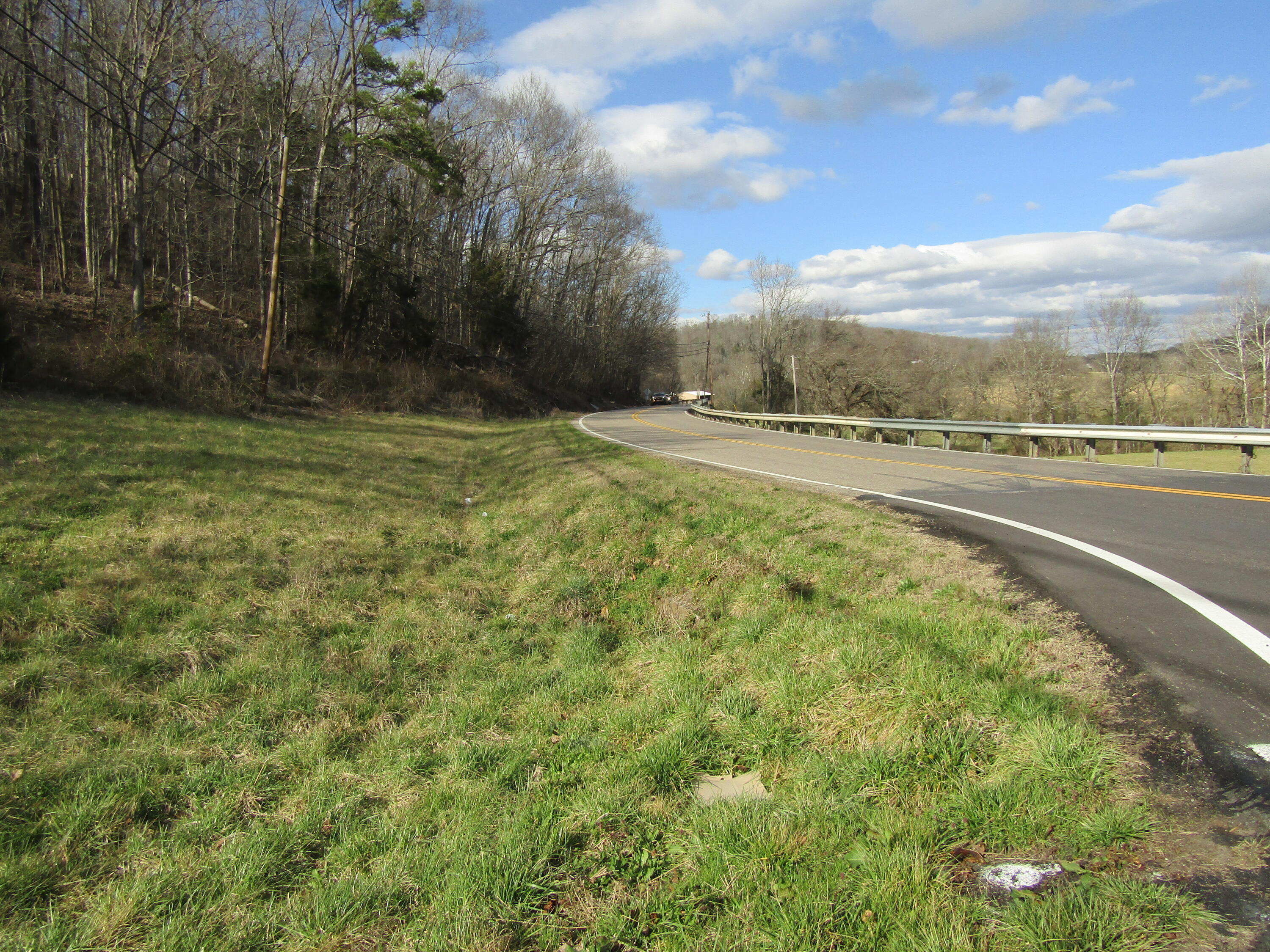 Lot # Bright Hope Road, Unit 12 Greeneville, TN 37743 - Photo 3 of 3 BH