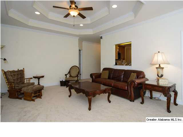 285 Trellis Circle Springville, AL 35146 - Photo 15 of 32