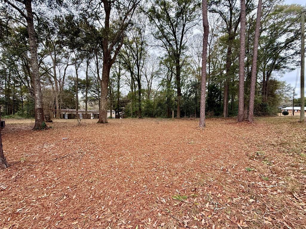 108 East High Avenue Geneva, AL 36340 - Photo 33 of 33