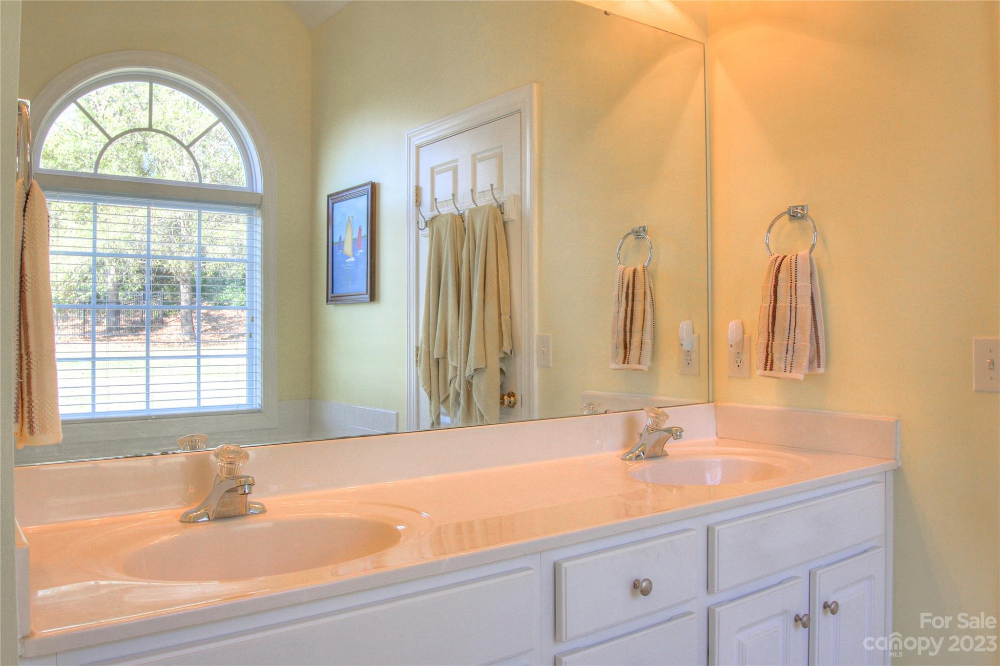1016 Wesley Downs Road Wesley Chapel, NC 28110 - Photo 18 of 40 a bathroom with a sink and a mirror