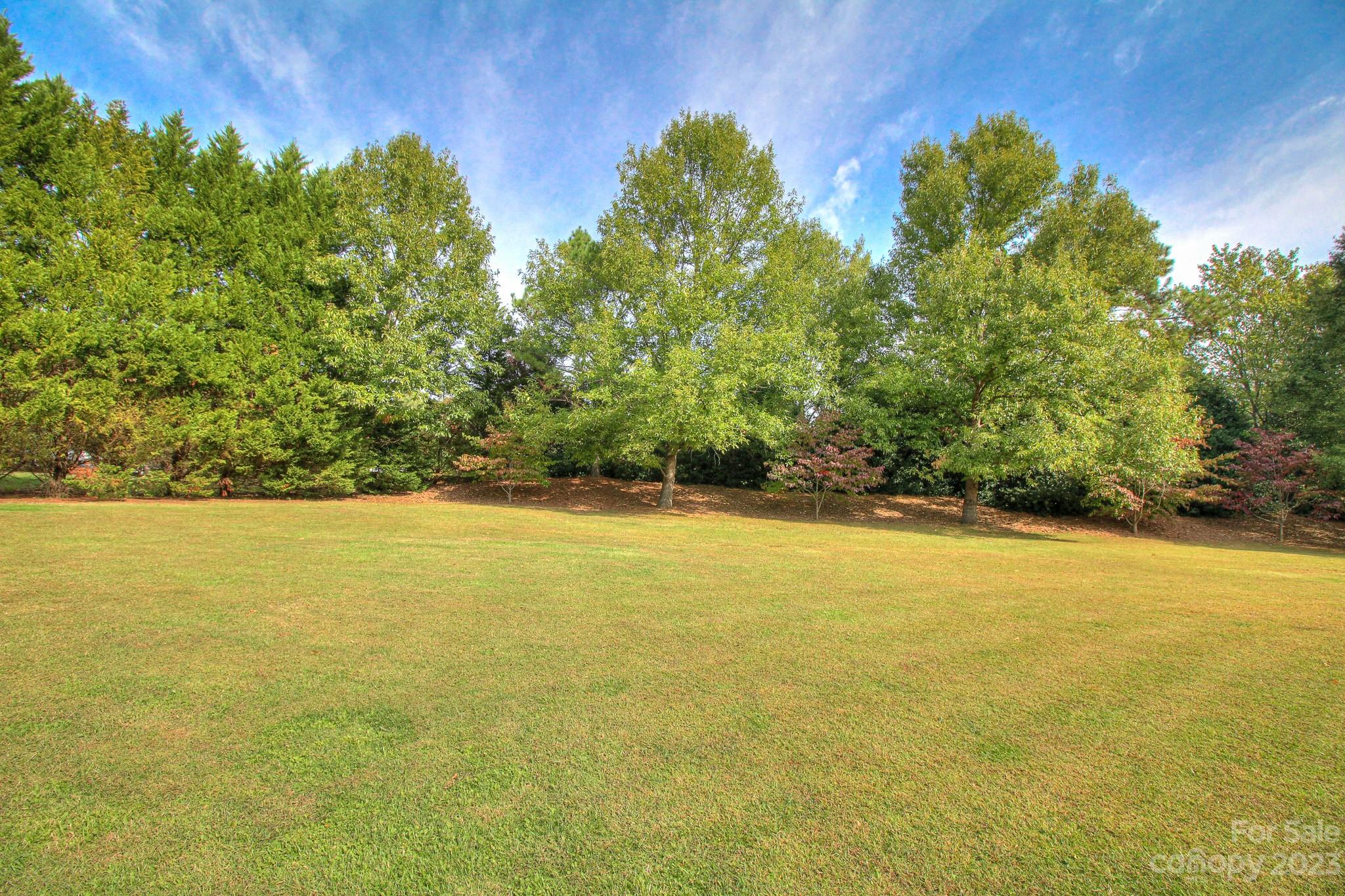 1016 Wesley Downs Road Wesley Chapel, NC 28110 - Photo 37 of 40 a view of an ocean and a yard