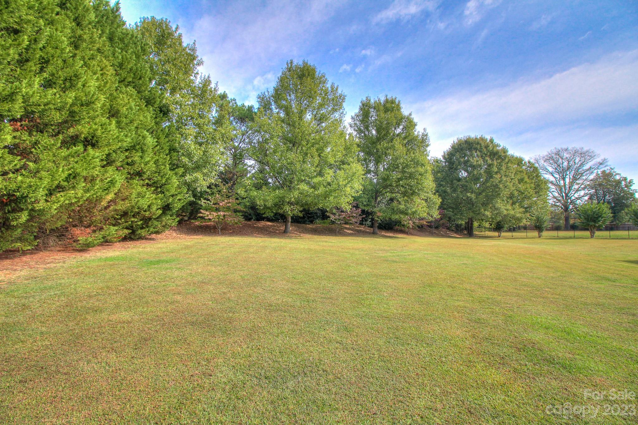 1016 Wesley Downs Road Wesley Chapel, NC 28110 - Photo 39 of 40 a view of a yard with an outdoor space