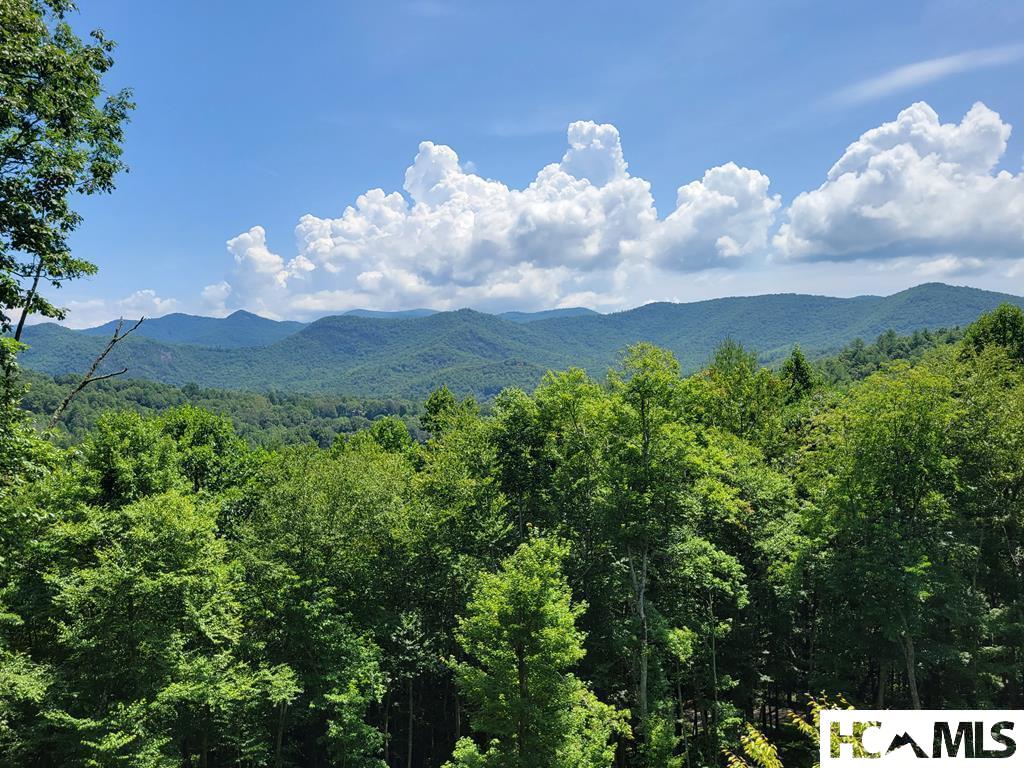 298 Carpenter Road Otto, NC 28763 - Photo 8 of 68 Gallery Image 8