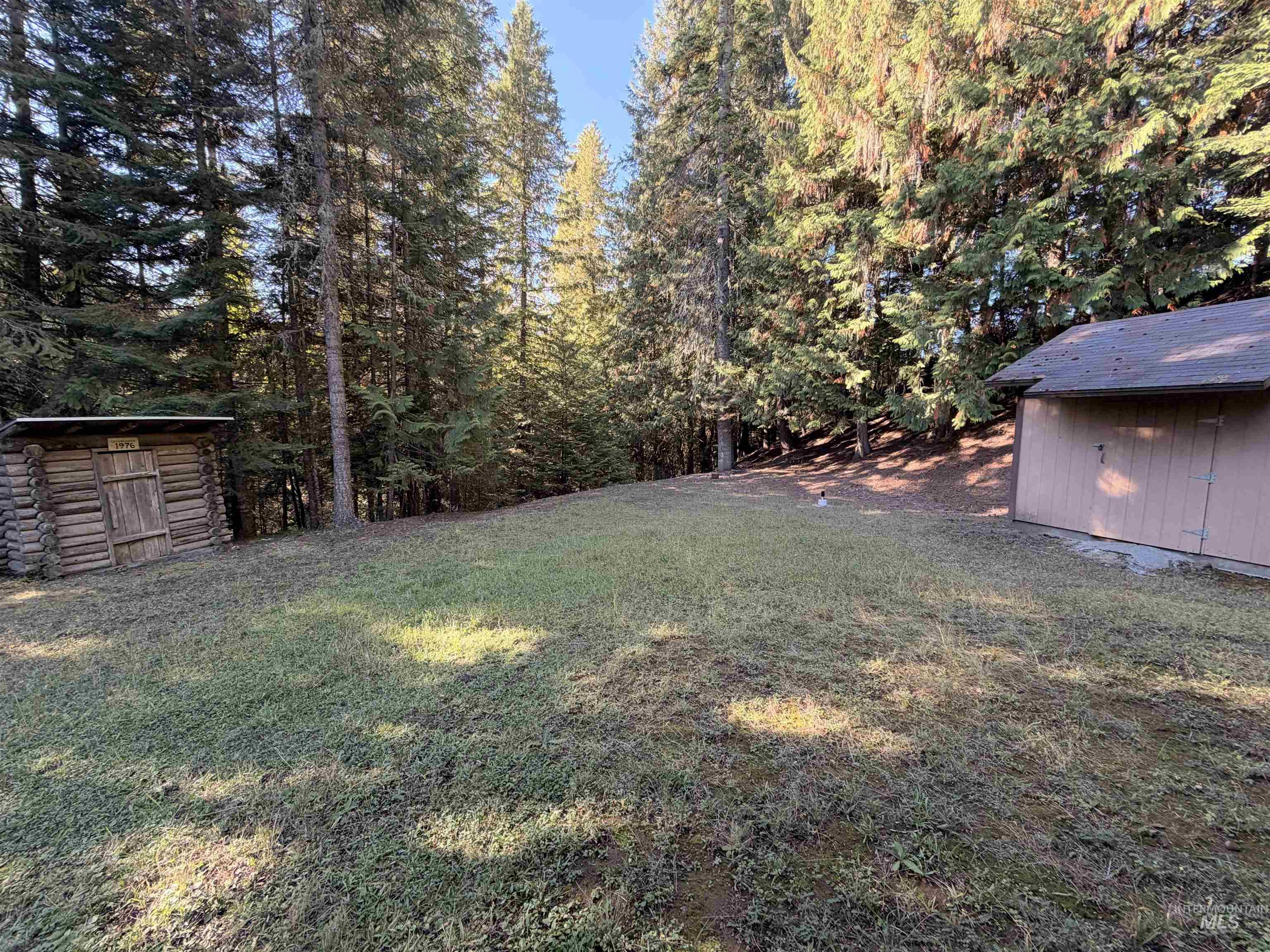 687 Big Cedar Road Kooskia, ID 83539 - Photo 10 of 37 Expansive wooded lot featuring a log-style shed and an additional storage shed