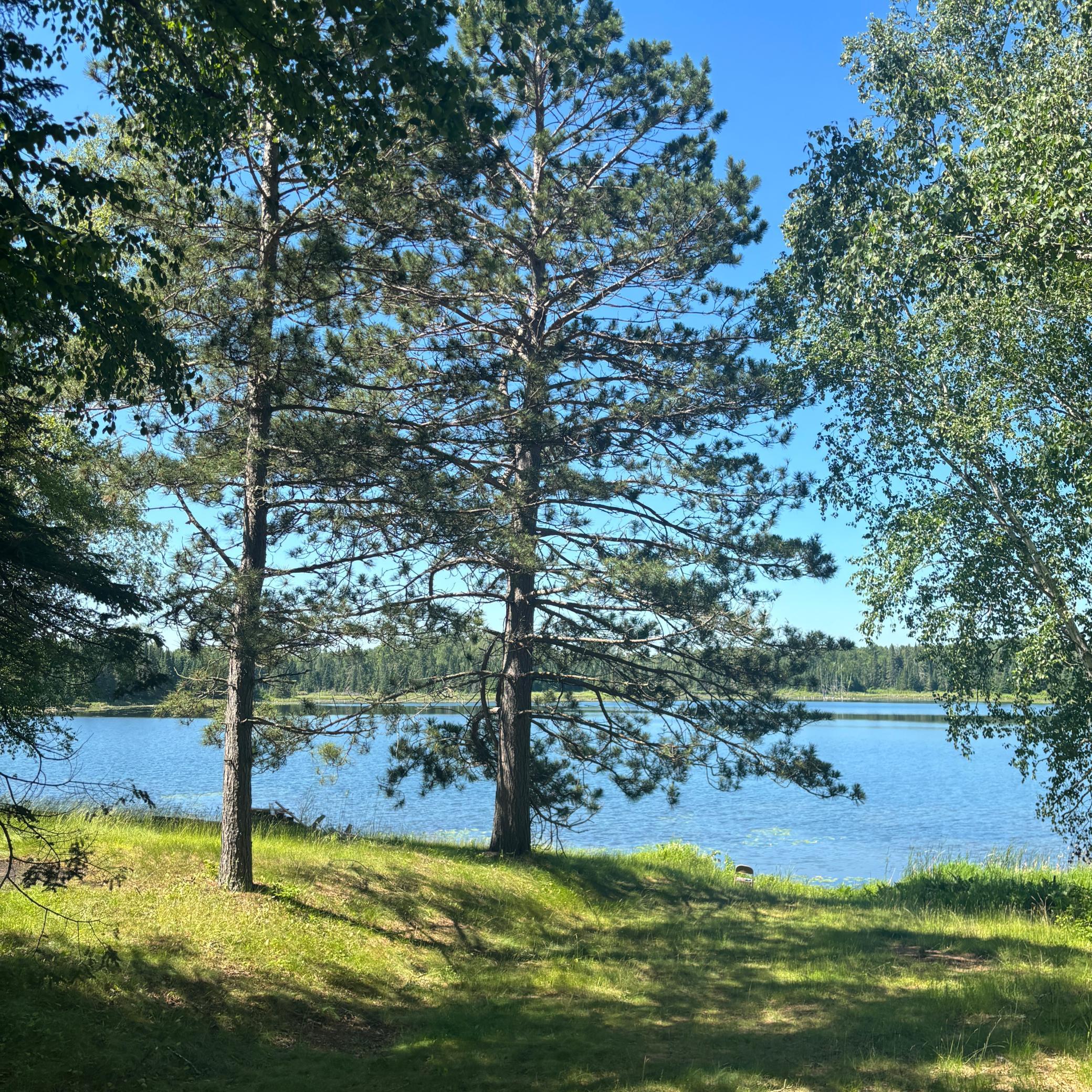 37363 Amen Lake Road Deer River, MN 56636 - Photo 28 of 28