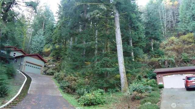 a view of a back yard