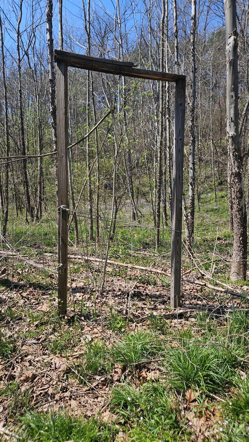 0 Spruce Hollow Road South Webster, OH 45682 - Photo 3 of 54