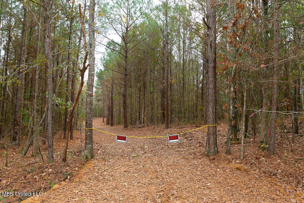 2 Trickhambridge Cove Brandon, MS 39042 - Photo 11 of 27 P1188334