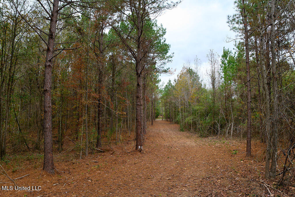 2 Trickhambridge Cove Brandon, MS 39042 - Photo 15 of 27 P1188338