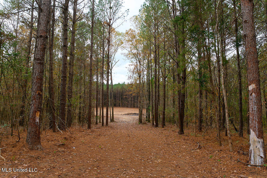 2 Trickhambridge Cove Brandon, MS 39042 - Photo 17 of 27 P1188340