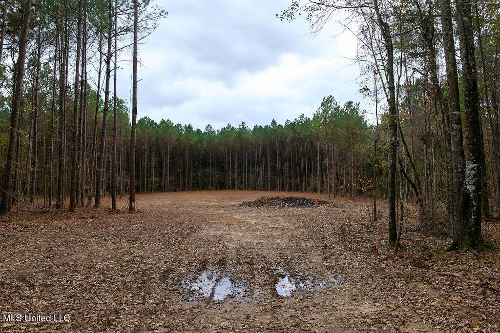 2 Trickhambridge Cove Brandon, MS 39042 - Photo 18 of 27 P1188342