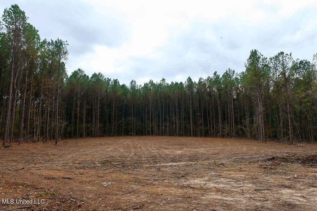 2 Trickhambridge Cove Brandon, MS 39042 - Photo 19 of 27 P1188343