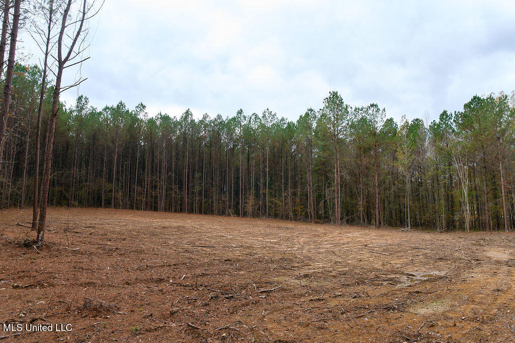 2 Trickhambridge Cove Brandon, MS 39042 - Photo 20 of 27 P1188344