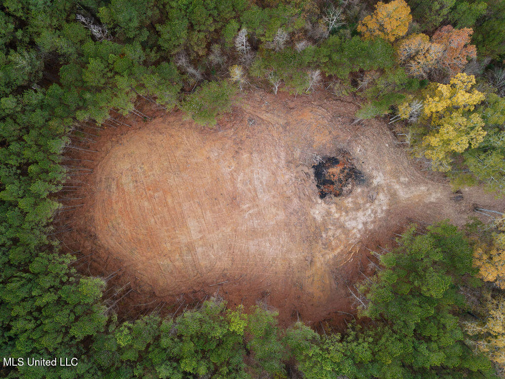 2 Trickhambridge Cove Brandon, MS 39042 - Photo 2 of 27 dji_fly_20251210_125158_21_1765393124311