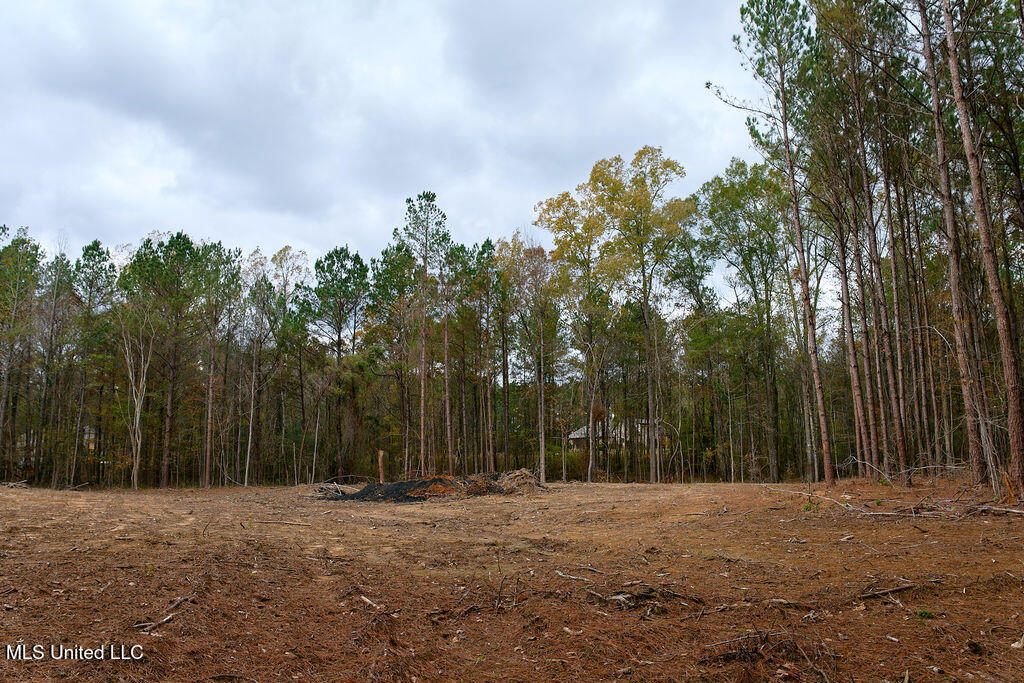 2 Trickhambridge Cove Brandon, MS 39042 - Photo 21 of 27 P1188345