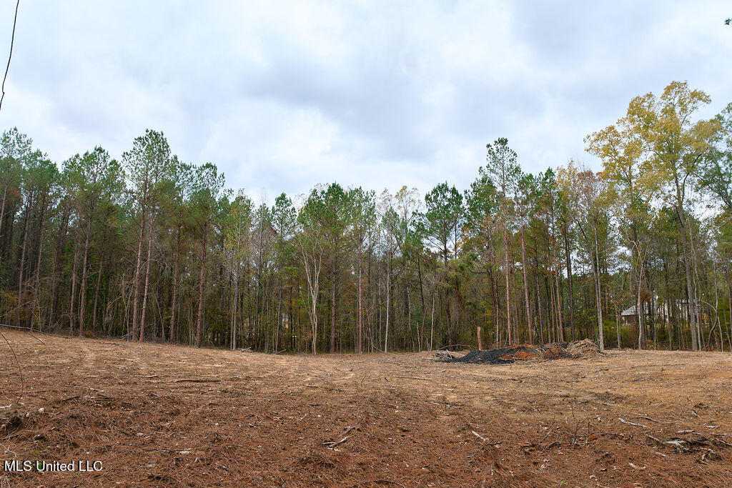 2 Trickhambridge Cove Brandon, MS 39042 - Photo 22 of 27 P1188346