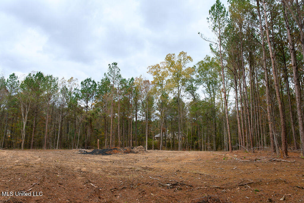 2 Trickhambridge Cove Brandon, MS 39042 - Photo 23 of 27 P1188348