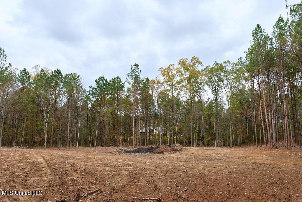 2 Trickhambridge Cove Brandon, MS 39042 - Photo 24 of 27 P1188349