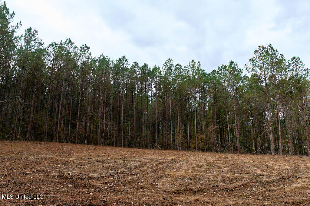 2 Trickhambridge Cove Brandon, MS 39042 - Photo 25 of 27 P1188350