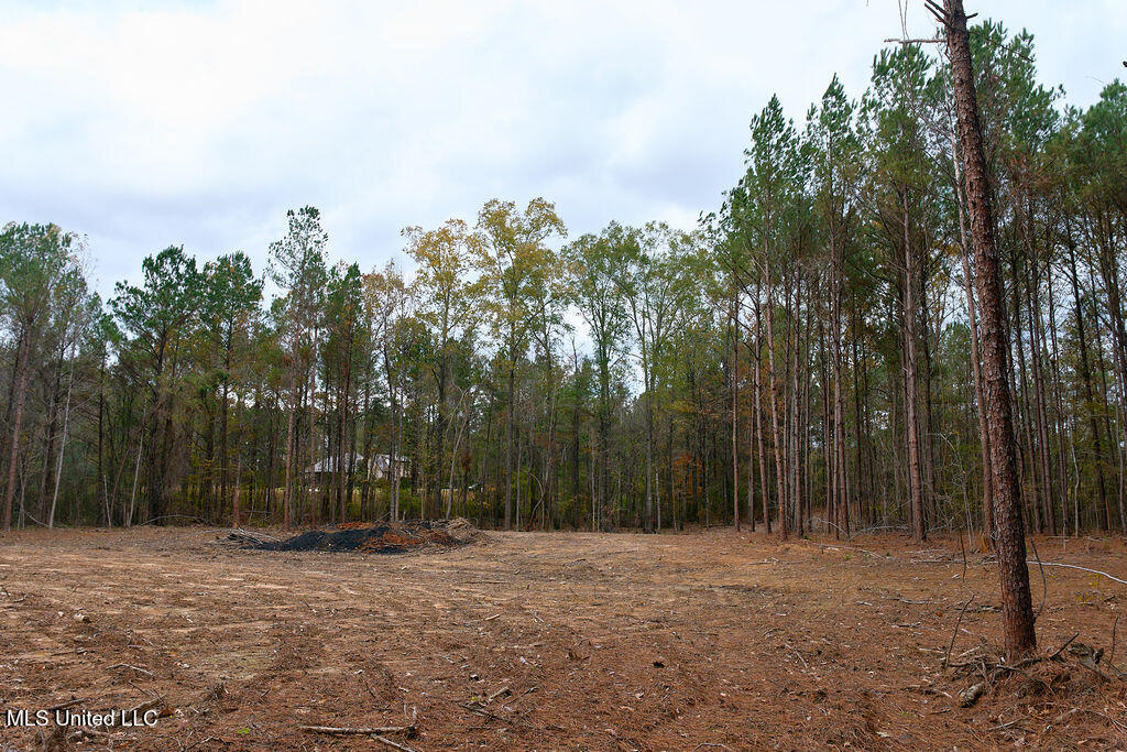 2 Trickhambridge Cove Brandon, MS 39042 - Photo 26 of 27 P1188351