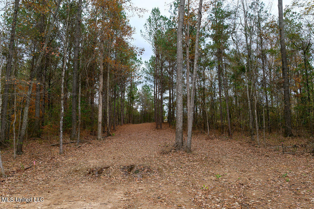 2 Trickhambridge Cove Brandon, MS 39042 - Photo 27 of 27 P1188352