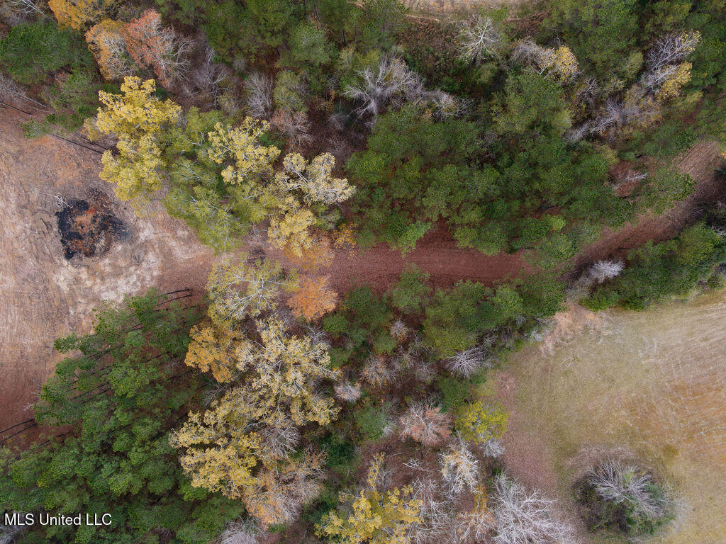 2 Trickhambridge Cove Brandon, MS 39042 - Photo 3 of 27 dji_fly_20251210_125216_22_1765393118923