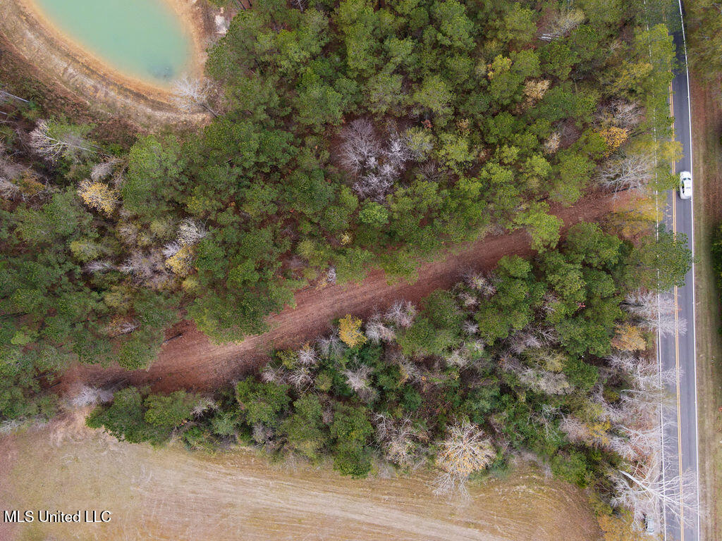 2 Trickhambridge Cove Brandon, MS 39042 - Photo 4 of 27 dji_fly_20251210_125238_23_1765393113272