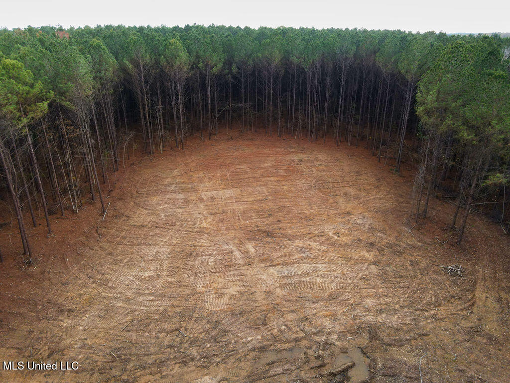 2 Trickhambridge Cove Brandon, MS 39042 - Photo 5 of 27 dji_fly_20251210_125332_24_1765393107758