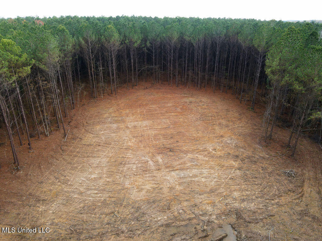 2 Trickhambridge Cove Brandon, MS 39042 - Photo 6 of 27 dji_fly_20251210_125400_25_1765393102979