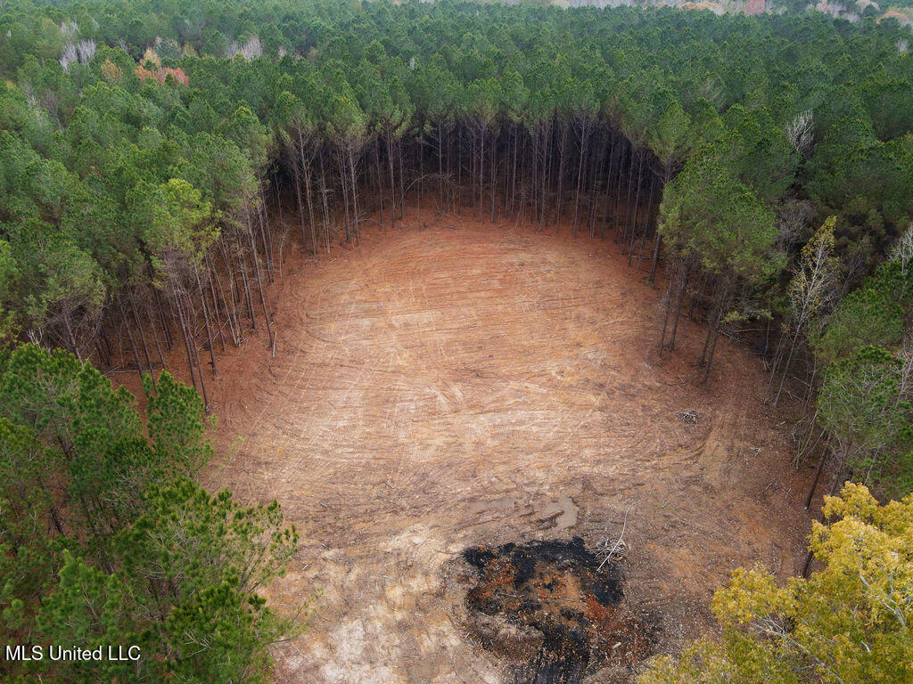 2 Trickhambridge Cove Brandon, MS 39042 - Photo 7 of 27 dji_fly_20251210_125448_26_1765393098069