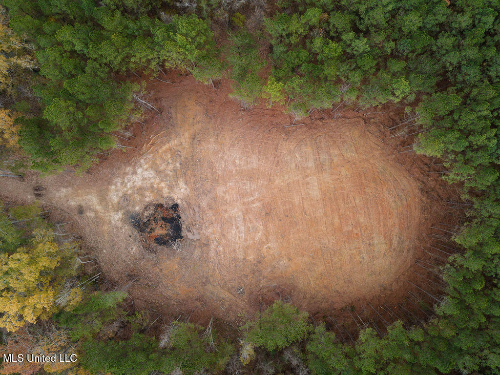 2 Trickhambridge Cove Brandon, MS 39042 - Photo 8 of 27 dji_fly_20251210_125530_27_1765393092739