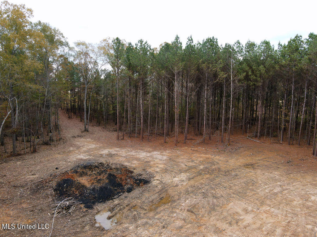 2 Trickhambridge Cove Brandon, MS 39042 - Photo 9 of 27 dji_fly_20251210_125628_28_1765393087362
