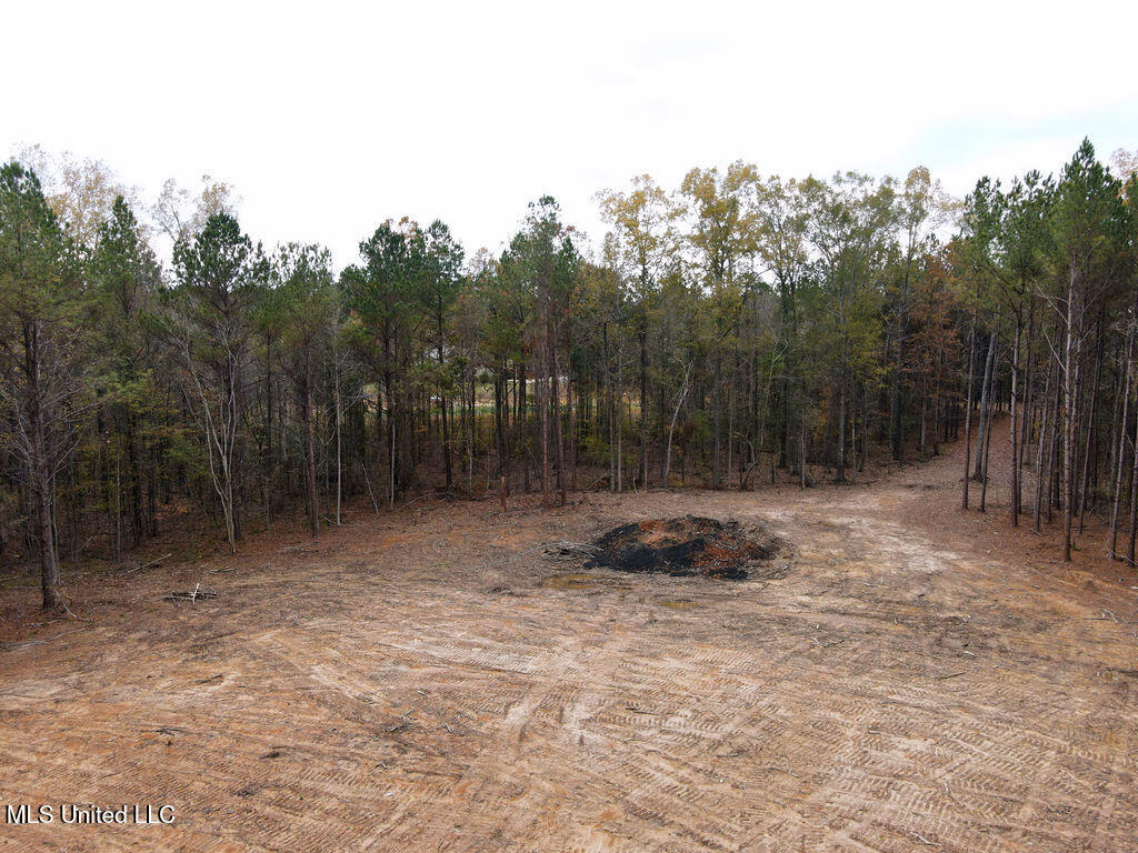 2 Trickhambridge Cove Brandon, MS 39042 - Photo 10 of 27 dji_fly_20251210_125654_29_1765393076974