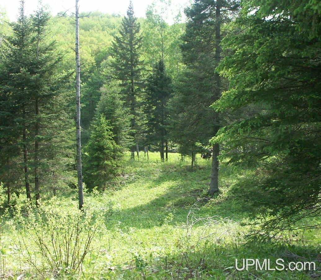 Lot 30 River Country Road Crystal Falls, MI 49920 - Photo 2 of 15