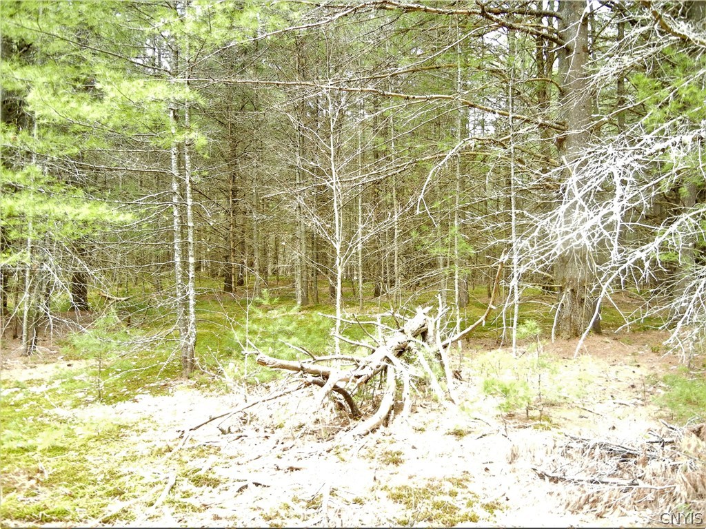 0 Fowlerville Road Port Leyden, NY 13433 - Photo 6 of 10 Gallery Image 6