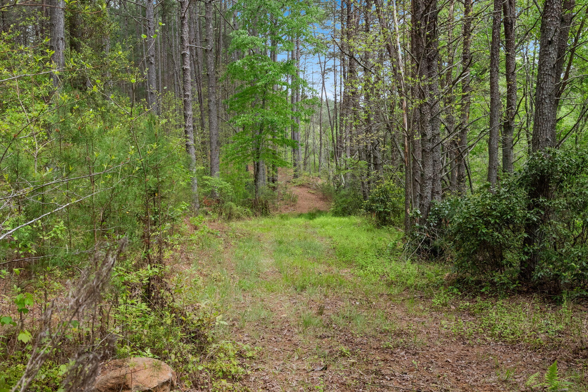 255 Golf Course Road Copperhill, TN 37317 - Photo 41 of 42 Gallery Image 41