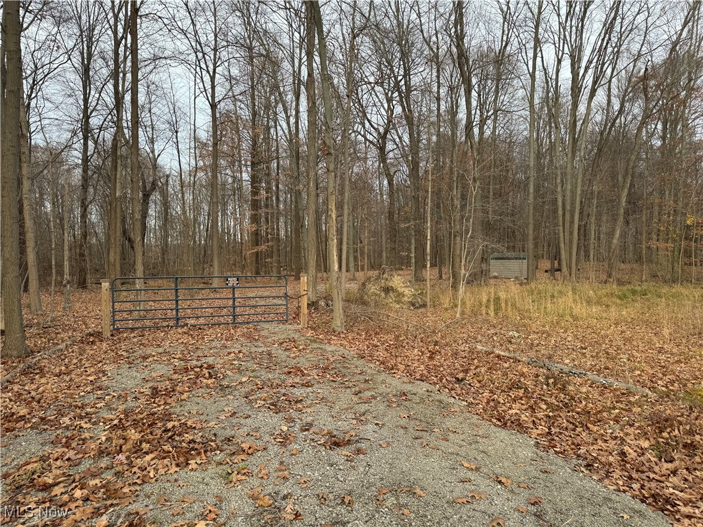 4255 Alexander Road Atwater, OH 44201 - Photo 3 of 10 Gravel Driveway to pull off the road to walk this 3.5 acre site.