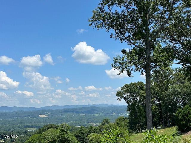 4617 Old Stage Road Kingsport, TN 37664 - Photo 102 of 122 VIEWS
