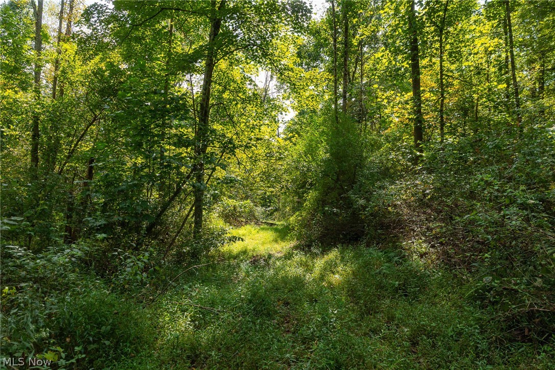 27339 Tabor Ridge Road, Unit 2 Caldwell, OH 43724 - Photo 14 of 50 Gallery Image 14
