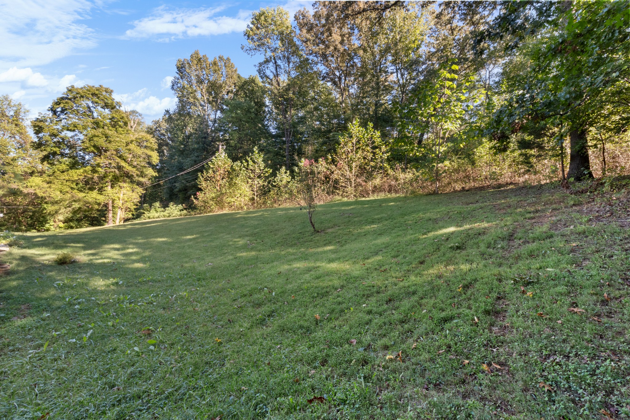 684 Dean Road Clarksville, TN 37040 - Photo 29 of 35 a view of a field with trees