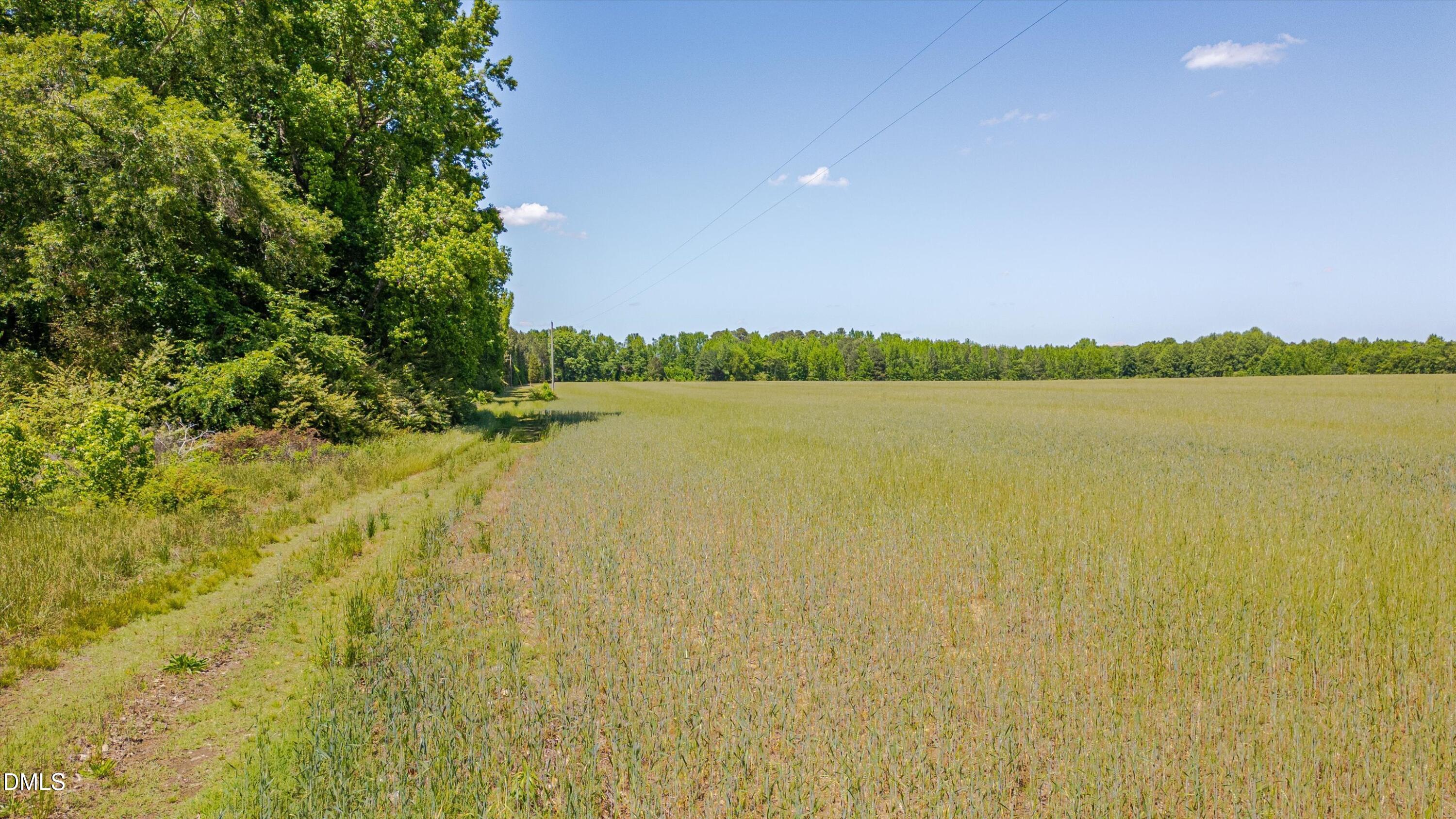 3454 Shearin Road Whitakers, NC 27891 - Photo 22 of 23 22-3454 Shearin Rd-21