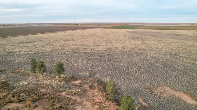 a view of an ocean beach