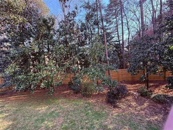 a view of backyard and trees