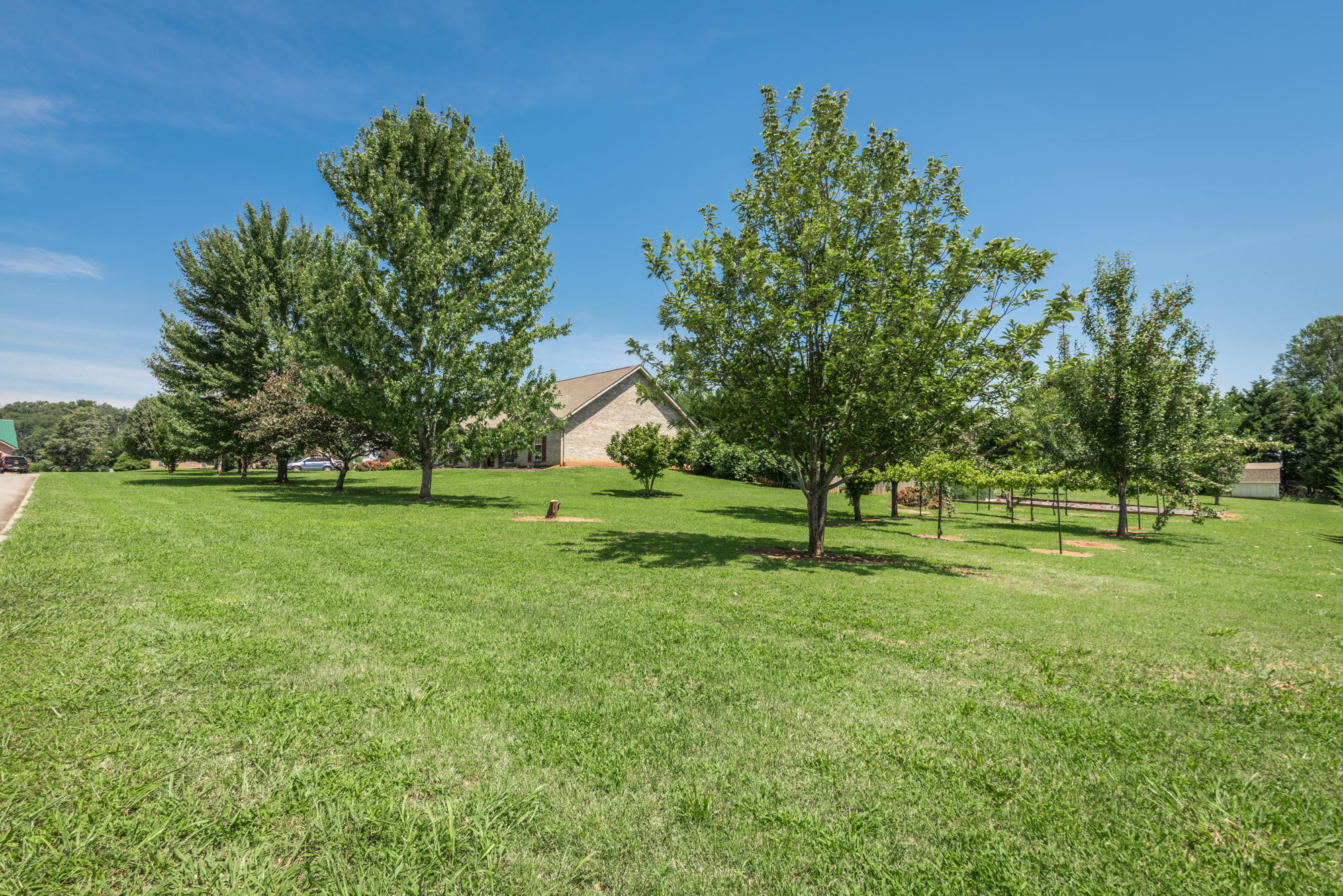 5522 J Riley W Road Greenback, TN 37742 - Photo 12 of 37 Level Back Yard