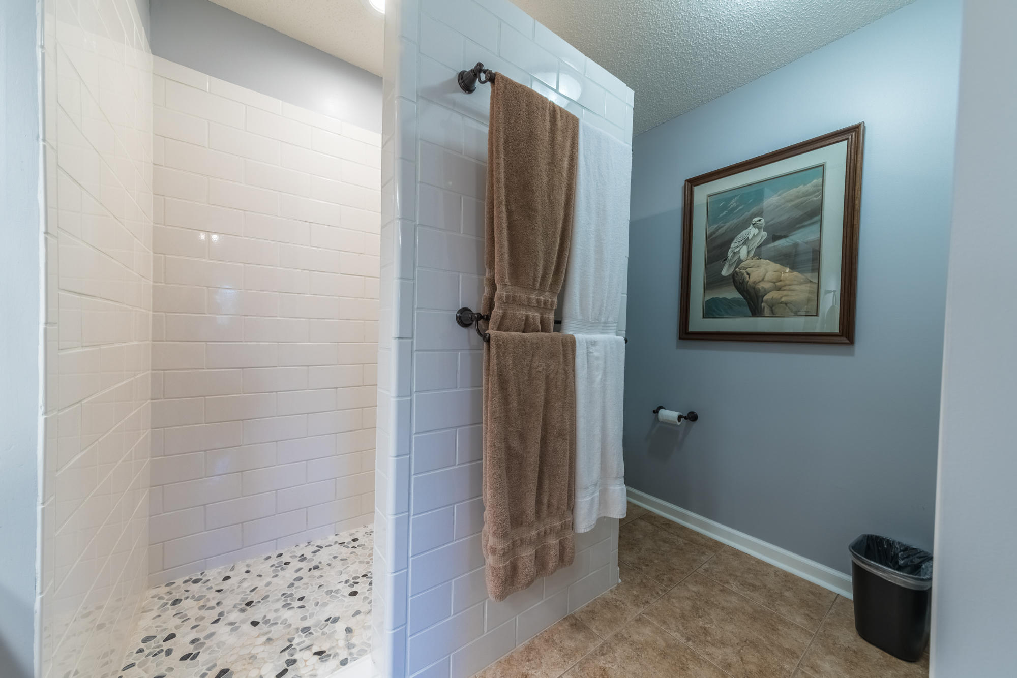 5522 J Riley W Road Greenback, TN 37742 - Photo 32 of 37 Walk in shower