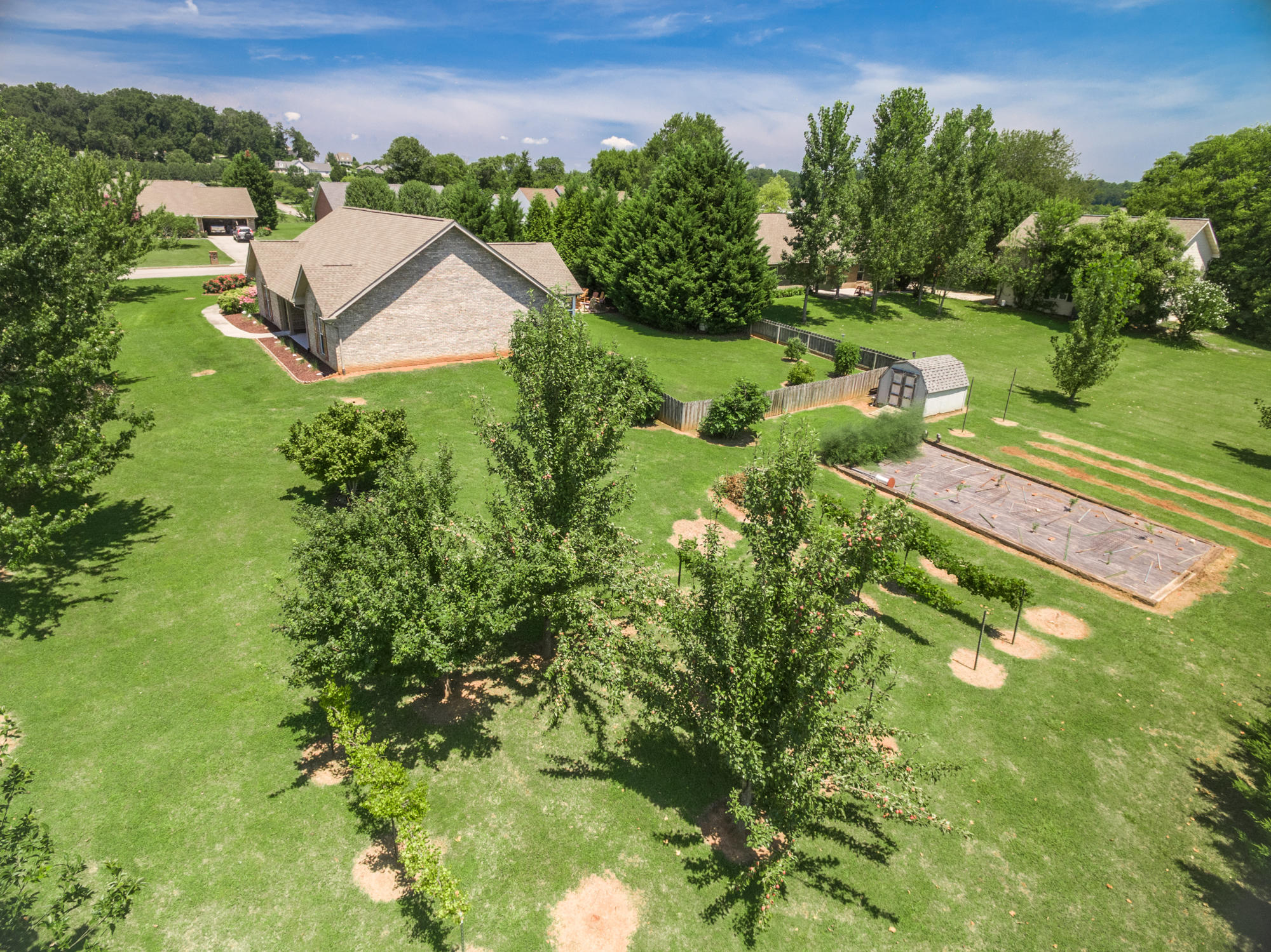5522 J Riley W Road Greenback, TN 37742 - Photo 6 of 37 Large Garden/ Yard