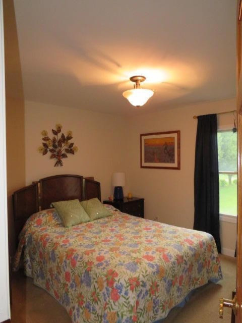 540 West Rockey Weed Road Baroda, MI 49101 - Photo 19 of 59 IMG_0310